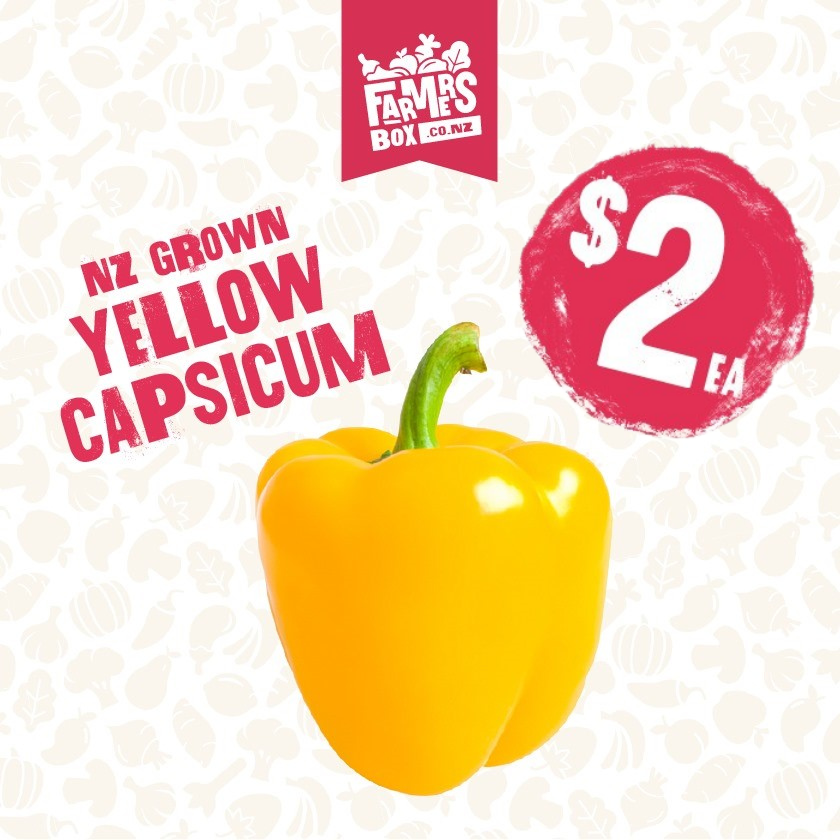 CAPSICUM YELLOW (Kowhai Kaupapa)
