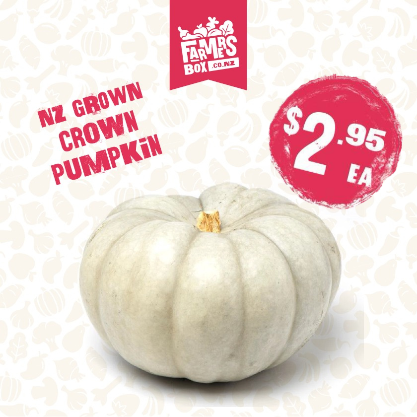 PUMPKIN CROWN MEDIUM (Pūpukeni Karauna)