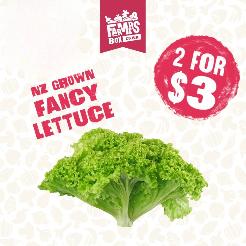 LETTUCE FANCY BAG