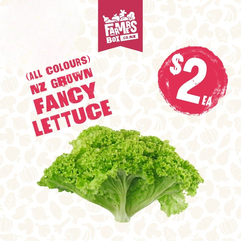 LETTUCE FANCY BUTTERHEAD BAG(rētihi pata whakapaipai)