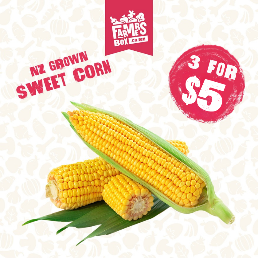 SWEET CORN FRESH EACH (KĀNGA)