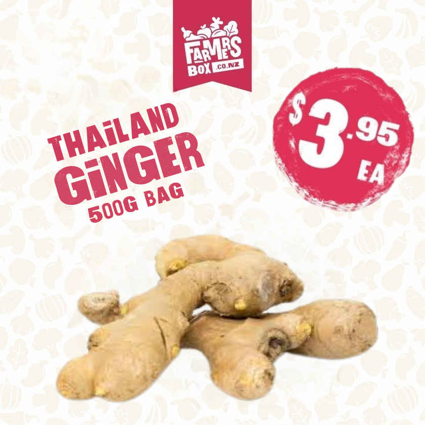 GINGER IMPORTED (Tinitia)
