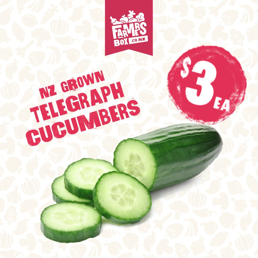 NZ GROWN TELEGRAPH CUCUMBER