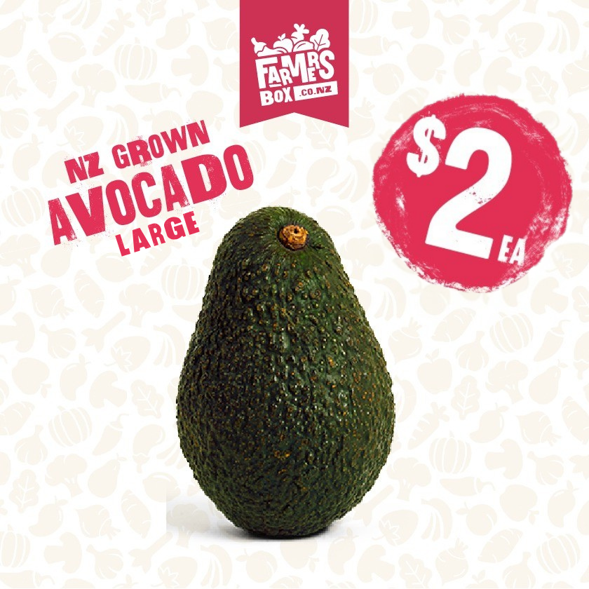 AVOCADO LARGE EACH
