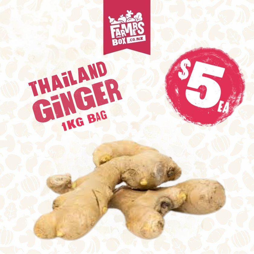 GINGER IMPORTED (Tinitia)