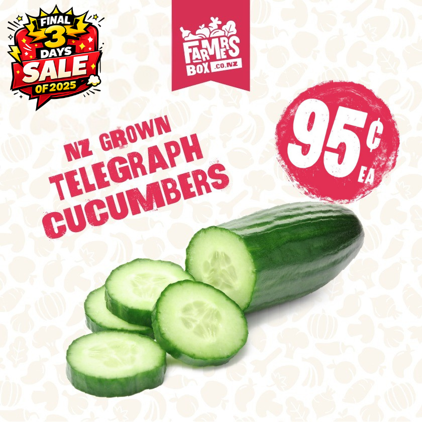 CUCUMBER TELEGRAPH EACH (Kukama Waea) -Large Size
