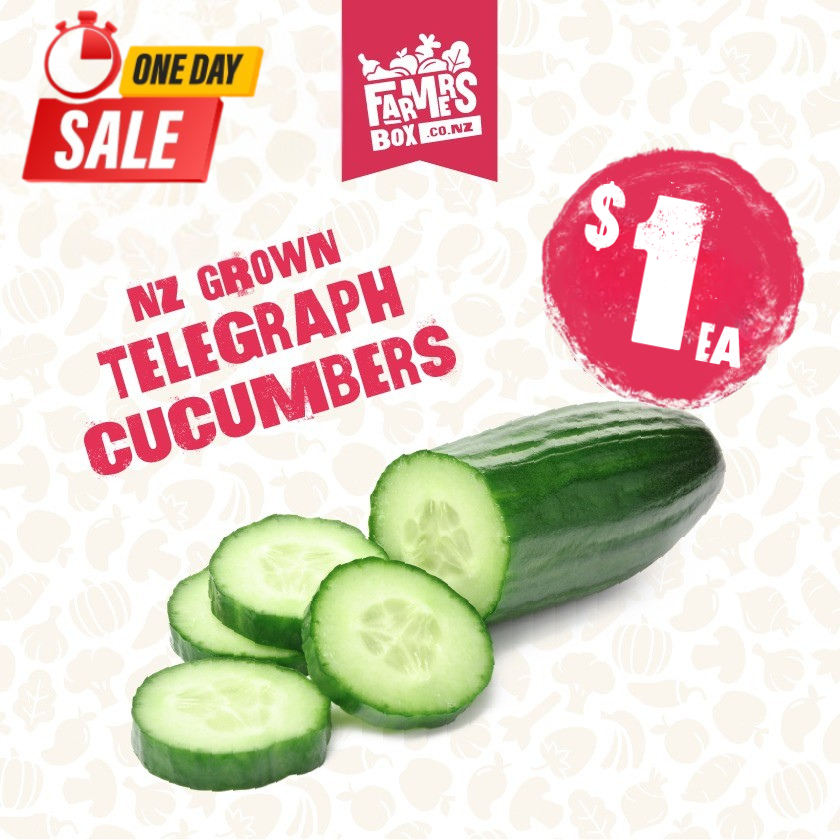 CUCUMBER TELEGRAPH EACH (Kukama Waea)