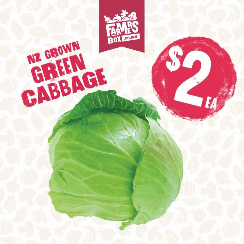 CABBAGE GREEN EACH (Kapeti)