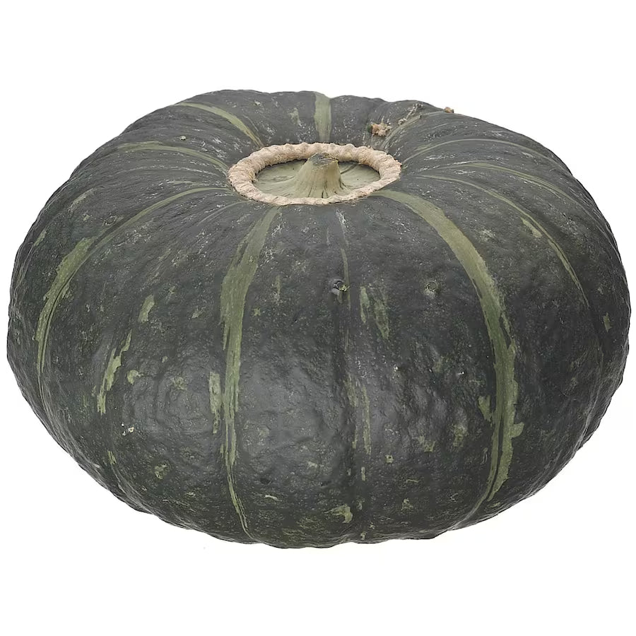 PUMPKIN BUTTERCUP EACH (Paukena Pata Pata)