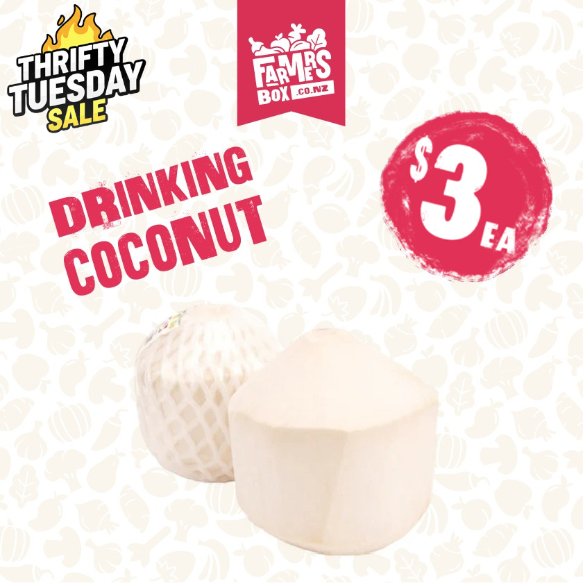 DRINKING COCONUT EACH (Inu Kokonati)