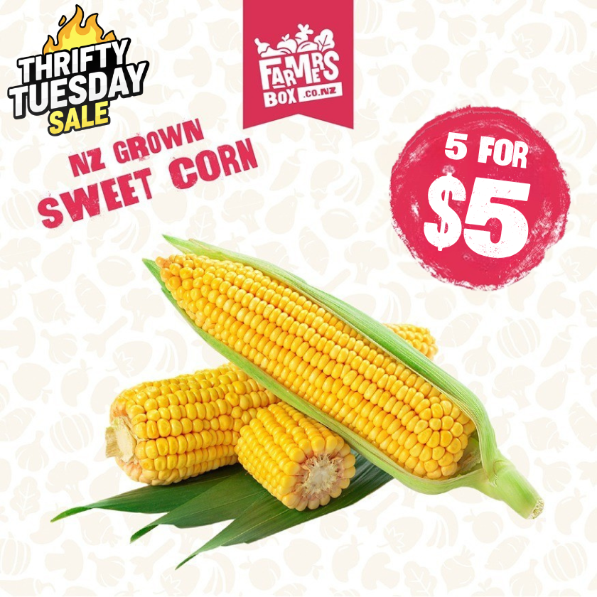 SWEET CORN FRESH EACH (KĀNGA)