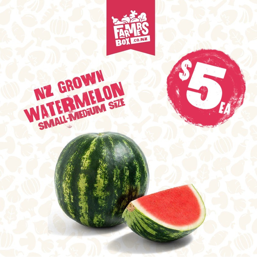 NZ MELON WATERMELON EACH (Small-Medium Size)