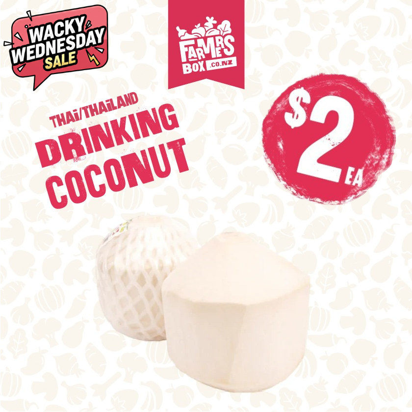 DRINKING COCONUT EACH (Inu Kokonati)