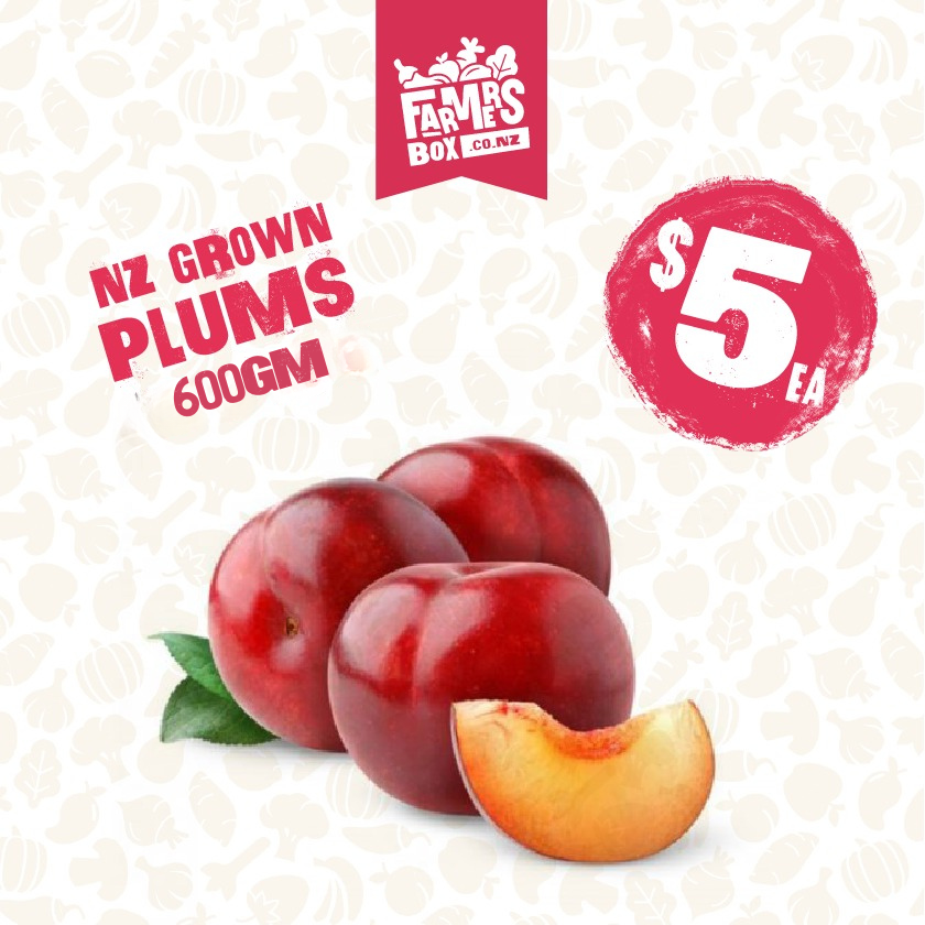 PLUMS BAG 600G (paramu)