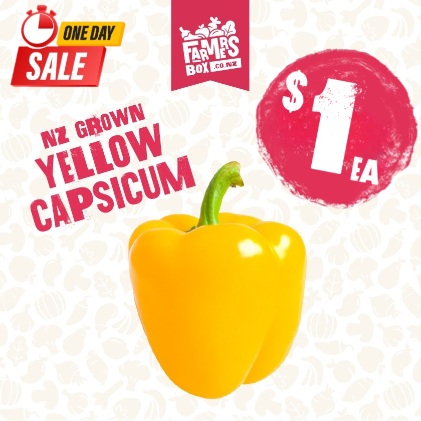 CAPSICUM YELLOW (Kowhai Kaupapa) (Medium Size)