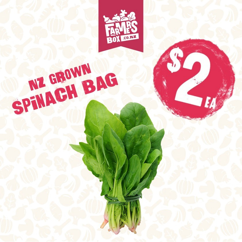 SPINACH Bag (Kōkihi)