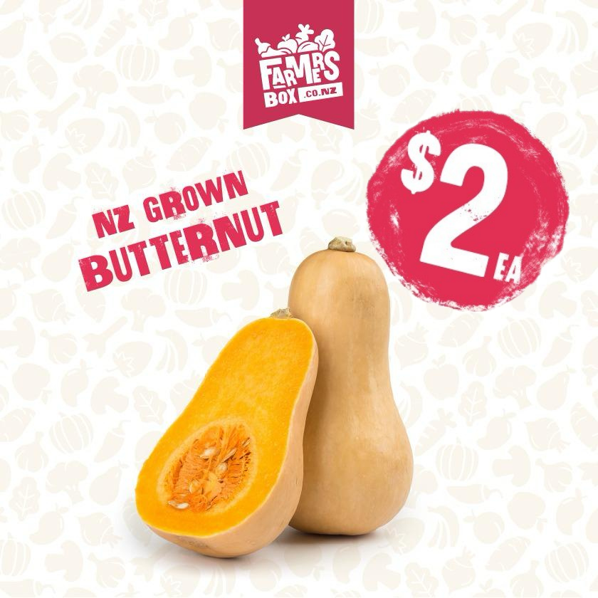 PUMPKIN BUTTERNUT EACH (Paukena Pata)- small size