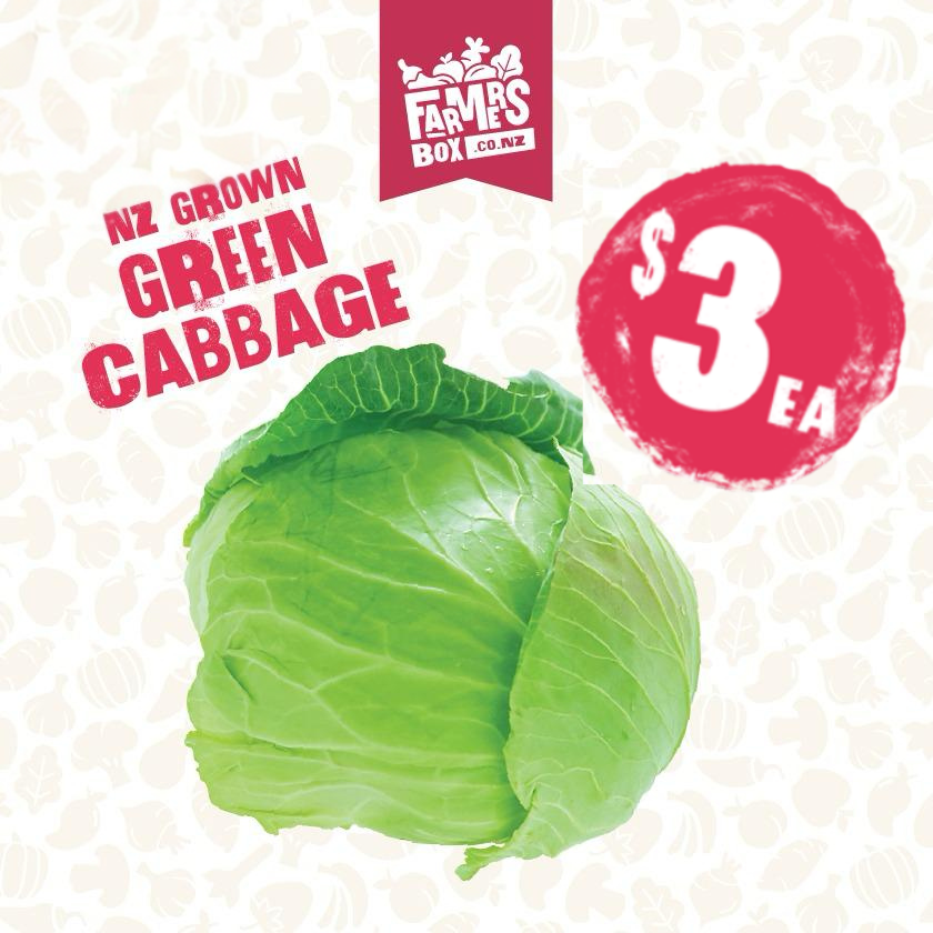 CABBAGE GREEN EACH (Kapeti)