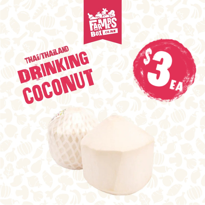 DRINKING COCONUT EACH (Inu Kokonati)