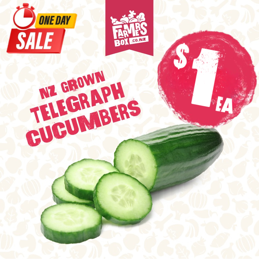 CUCUMBER TELEGRAPH EACH (Kukama Waea) - Small Size