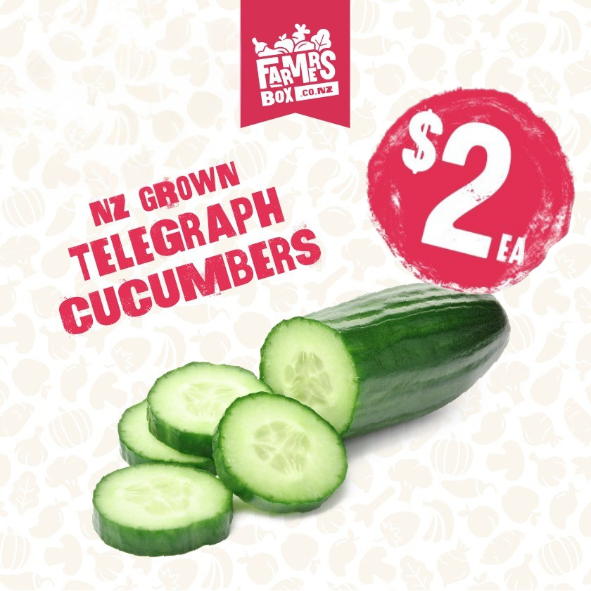 NZ GROWN TELEGRAPH CUCUMBER (SMALL SIZE)