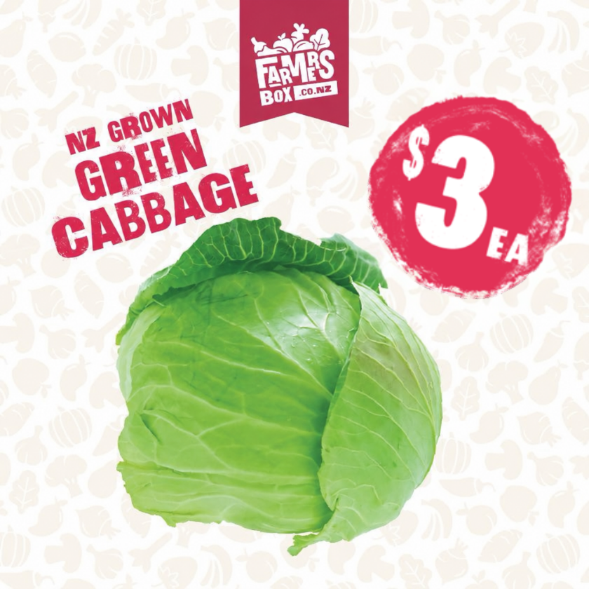 CABBAGE GREEN EACH (Kapeti)