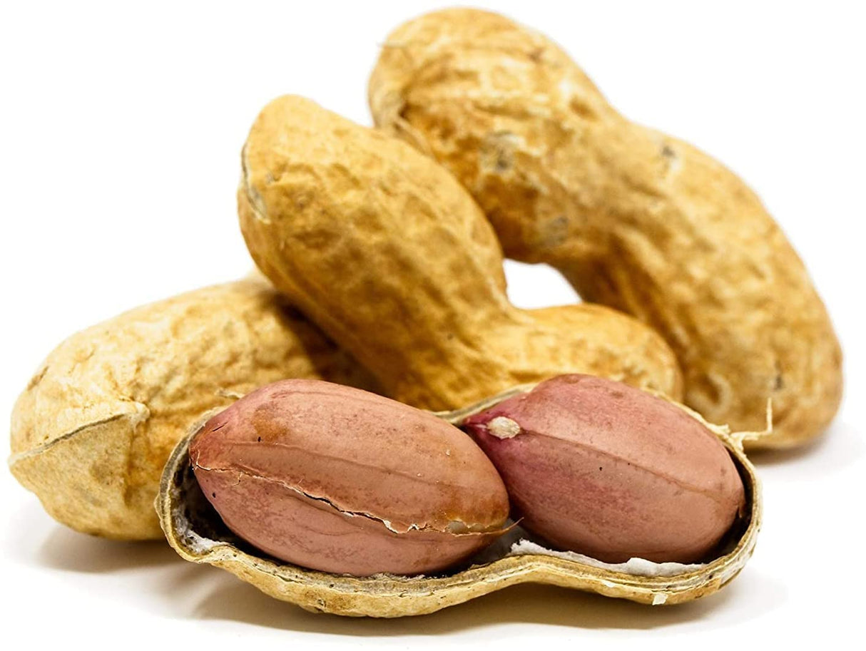 PEANUTS IN SHELL