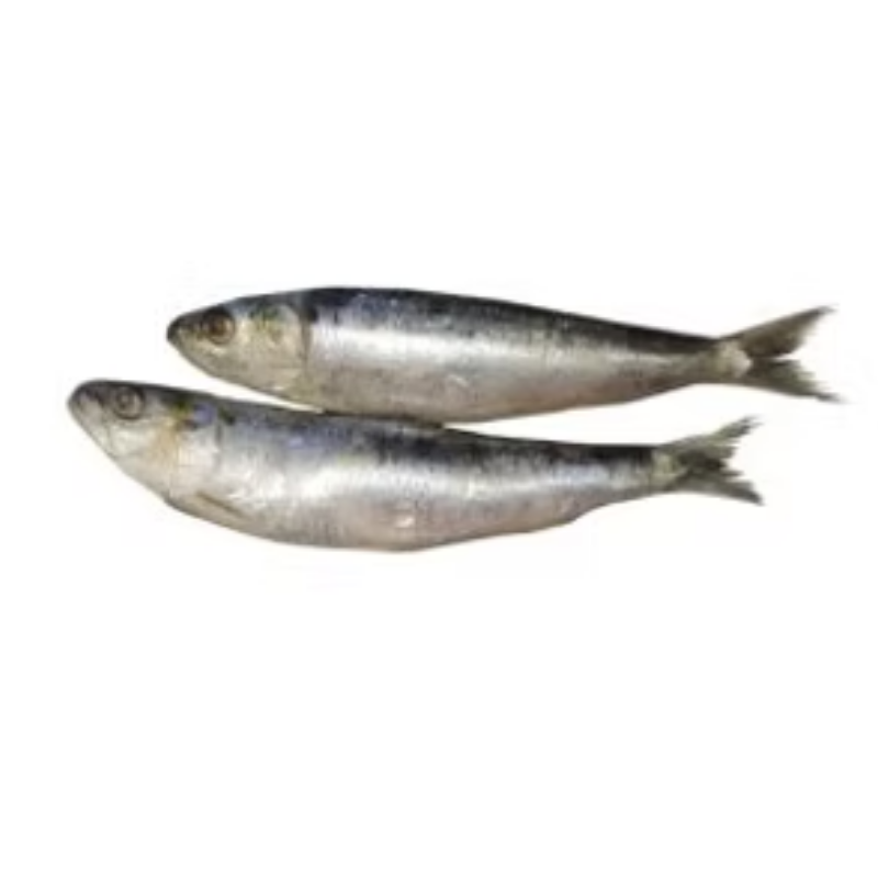 Frozen Sardines Whole 70/100 IQF 1kg