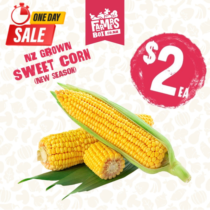 SWEET CORN FRESH EACH (KĀNGA)