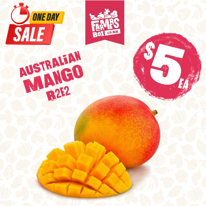 MANGO AUSTRALIAN R2E2 EACH (MANGŌ)