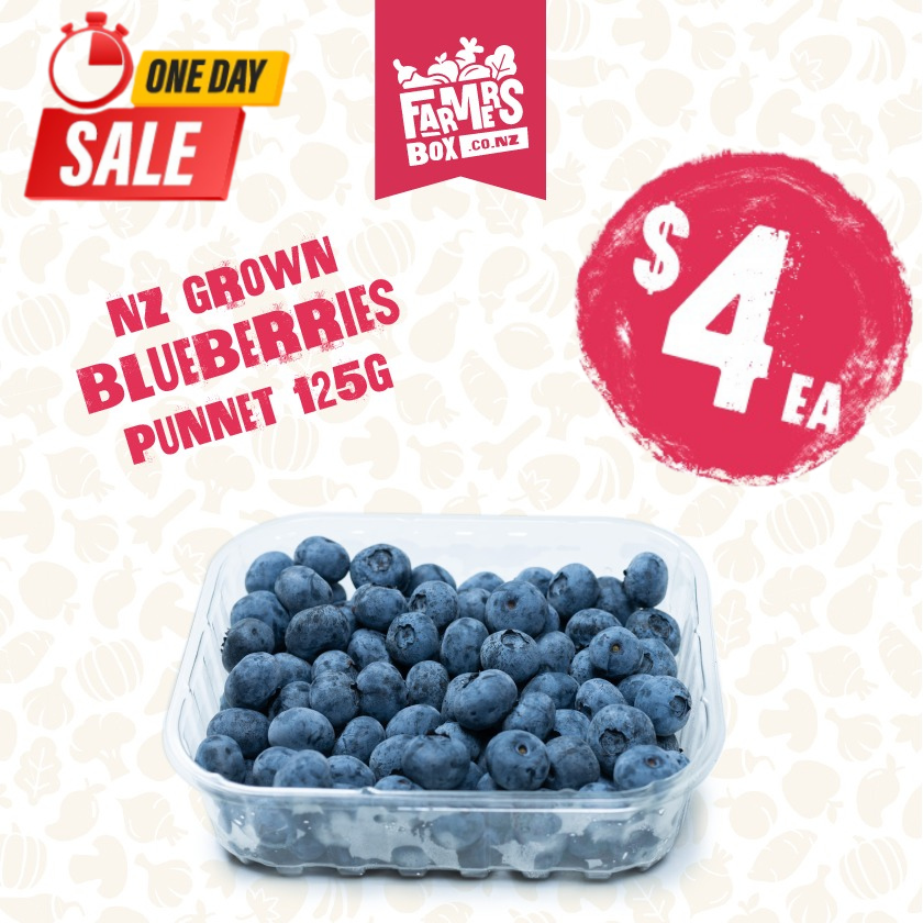 125G BERRIES BLUEBERRIES PP (NZ) PUNNET (Turutu)