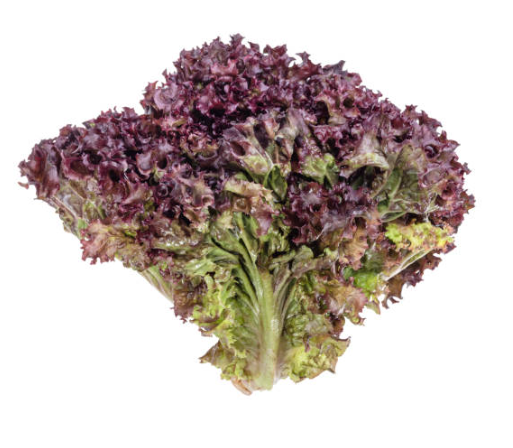 LETTUCE FANCY LOLLO ROSSO BAG - - Farmers Box.