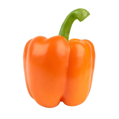 CAPSICUM ORGANIC ORANGE EA (RAPIKAMA)