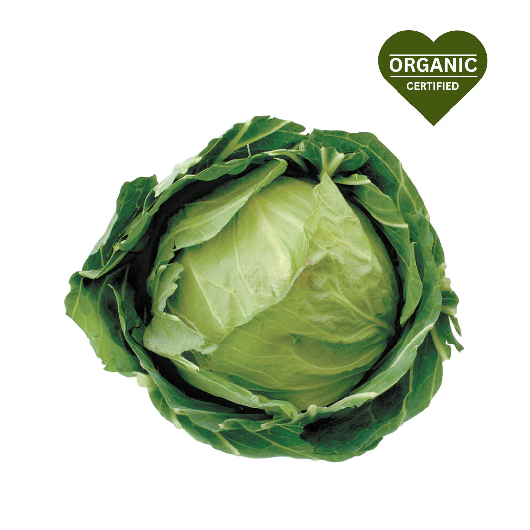 ORGANIC CABBAGE GREEN