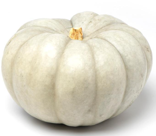 PUMPKIN CROWN- MEDIUM SIZE ( papuka karauna)