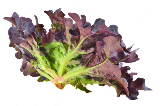LETTUCE FANCY RED OAK BAG - - Farmers Box.