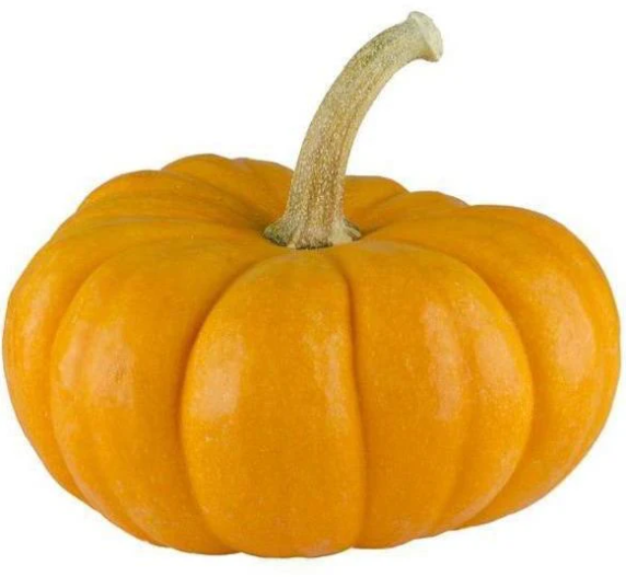 ORGANIC PUMPKIN SQUASH EACH