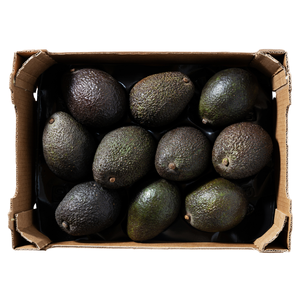Large box of 20 fresh, ripe Hash avocados ready for delivery