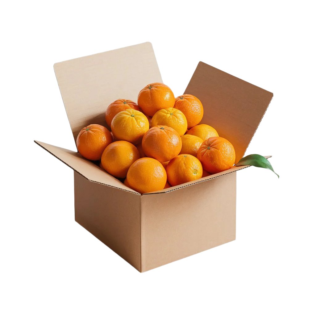 Ripe, vibrant oranges overflowing from an open cardboard box, showcasing orchard-fresh quality and abundance