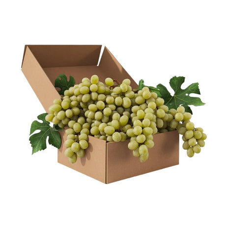 Clusters of fresh, plump green grapes overflowing from an open cardboard box, showcasing vineyard-fresh quality and abundance