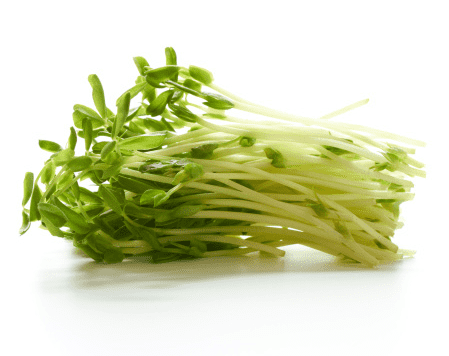 SPROUTS ALFALFA PP 120G - F&V -    Farmers Box.