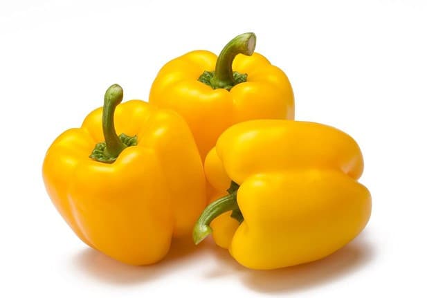 CAPSICUM YELLOW (Kowhai Kaupapa) (Medium Size)