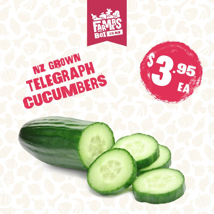 CUCUMBER TELEGRAPH EACH (Kukama Waea) - Large Size