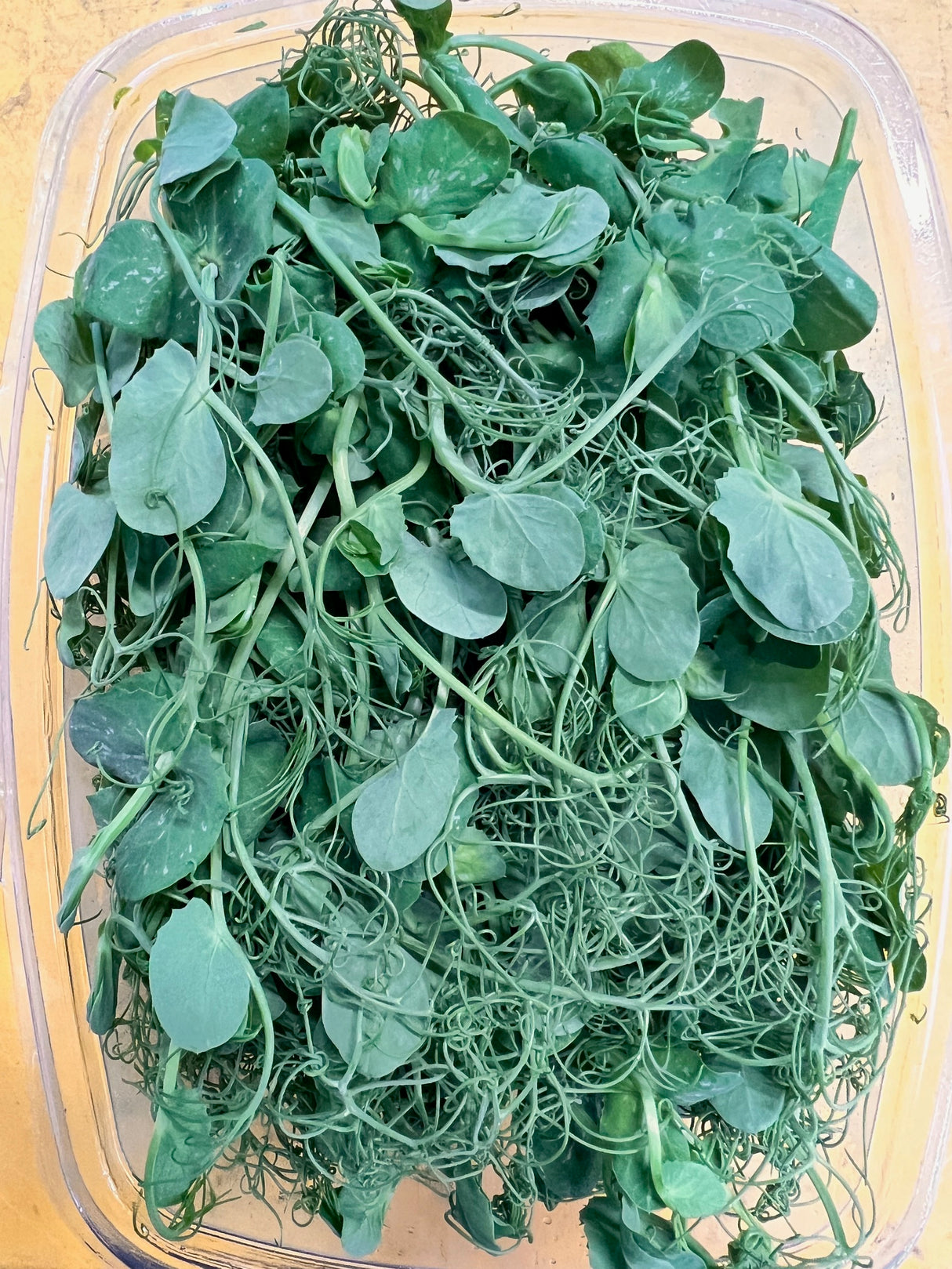 MICROGREENS MICRO PEA SHOOTS 70G (SPRAY FREE)
