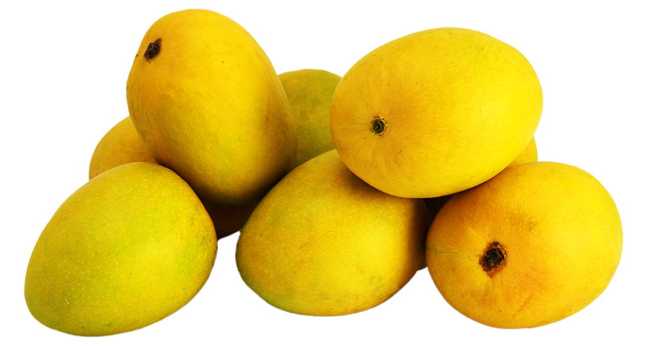 MANGOES INDIAN BOX 9CT -12CT