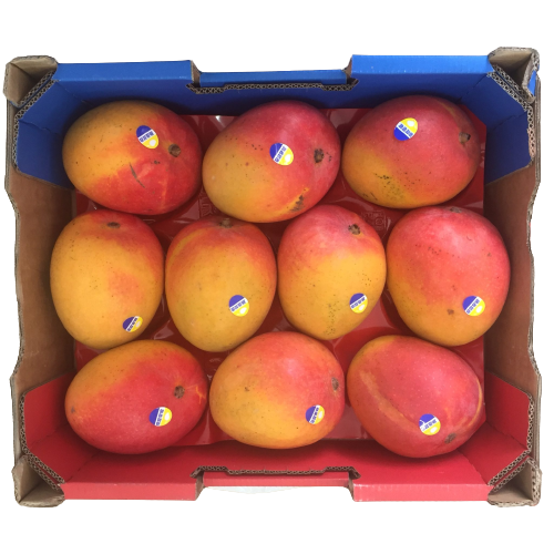 MANGO VIETNAMESE R2E2 BOX 8CT (Merengi Haumanu Honi)
