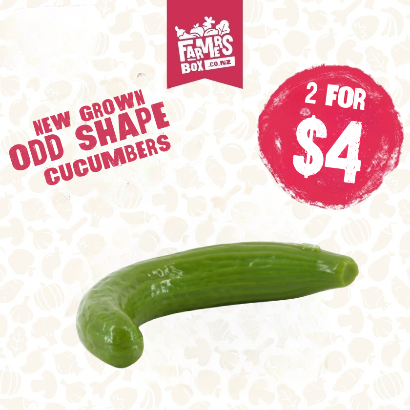 NZ GROWN TELEGRAPH CUCUMBER ODD SHAPE