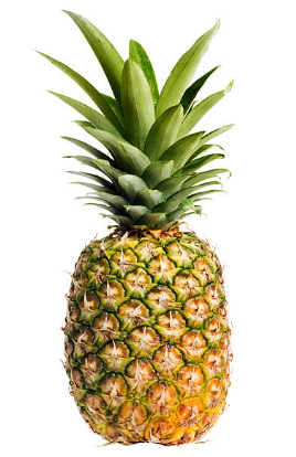 PINEAPPLE EACH