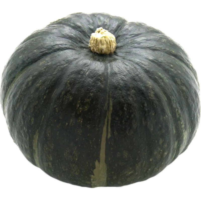 Organic Pumpkin Squash