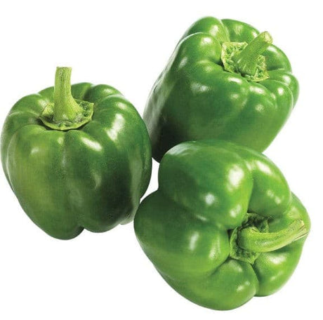 CAPSICUM GREEN EACH (Kaupapa Kakari) - Vegetables -    Farmers Box.